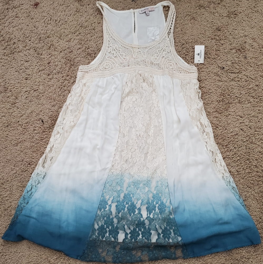Blu-Pepper Vintage crochet & lace dress